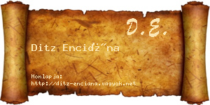 Ditz Enciána névjegykártya
